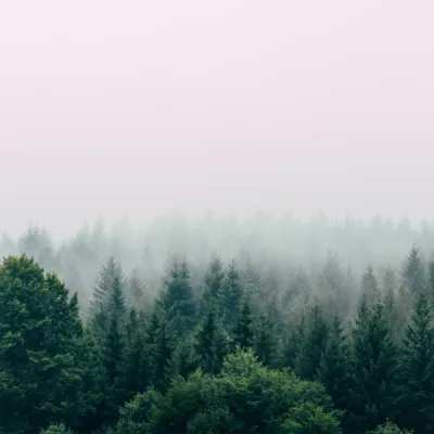 Filip zrnzevic Qs WG0kj PQRY unsplash